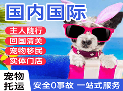 潍坊机场空运国际宠物托运 【国